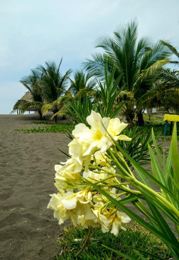 Eco-Hotel Playa Quilombo Las Lisas Exterior photo
